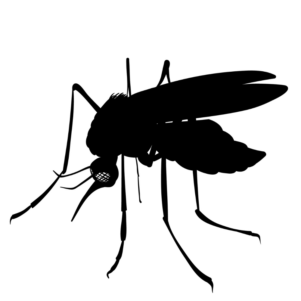 防霾紗窗_防蚊_因網格密度高，小黑蚊也進不來。