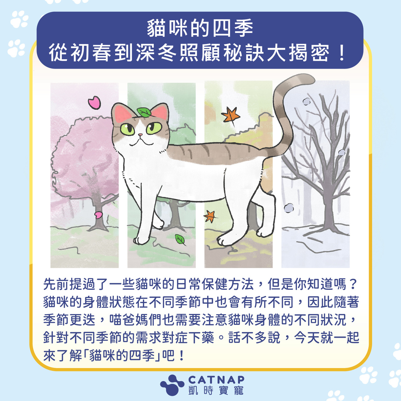貓咪的四季從初春到深冬照顧秘訣大揭密! | CATNAP凱時寶寵