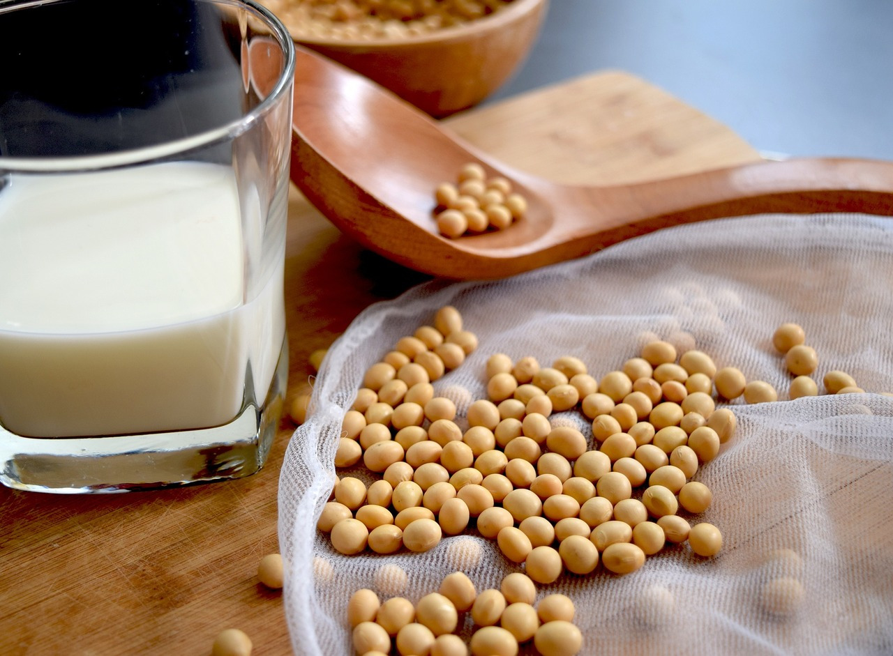 豆漿為素食補充植物蛋白的來源