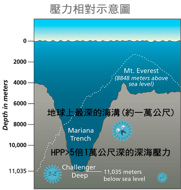 HPP的壓力比馬里亞納海溝深海處還大，微生物難以生存