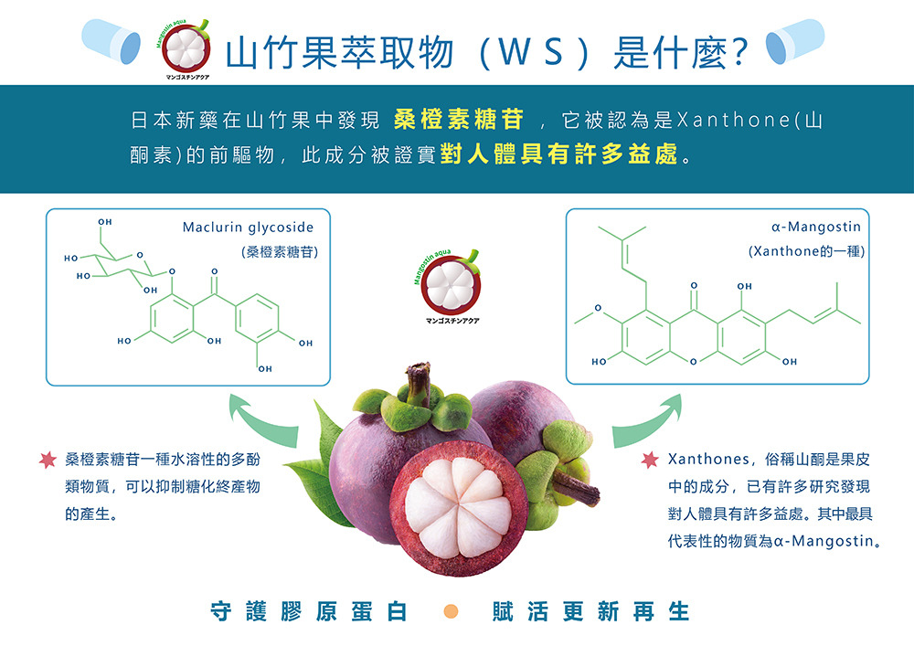 山竹果萃取物(WS)是什麼? 日本新藥在山竹果中發現桑橙素糖苷,它被認為是Xanthone(山酮素)的前驅物,此成分被證實對人體具有許多益處。 Maclurin glycoside(桑燈素糖苷)a-Mangostin (Xanthone的一種) 桑橙素糖苷一種水溶性的多酚類物質,可以抑制糖化終產物的產生。 Xanthones,俗稱山醇是果皮中的成分,已有許多研究發現對人體具有許多益處。其中最具代表性的物質為a-Mangostin。 守護膠原蛋白 賦活更新再生