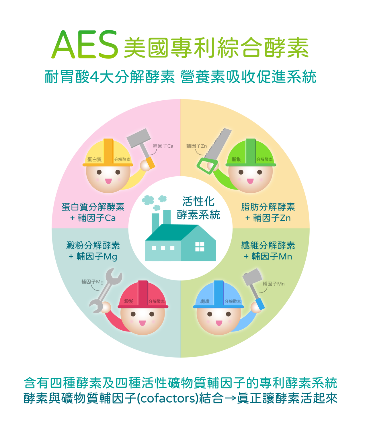 AES美國專利綜合酵素