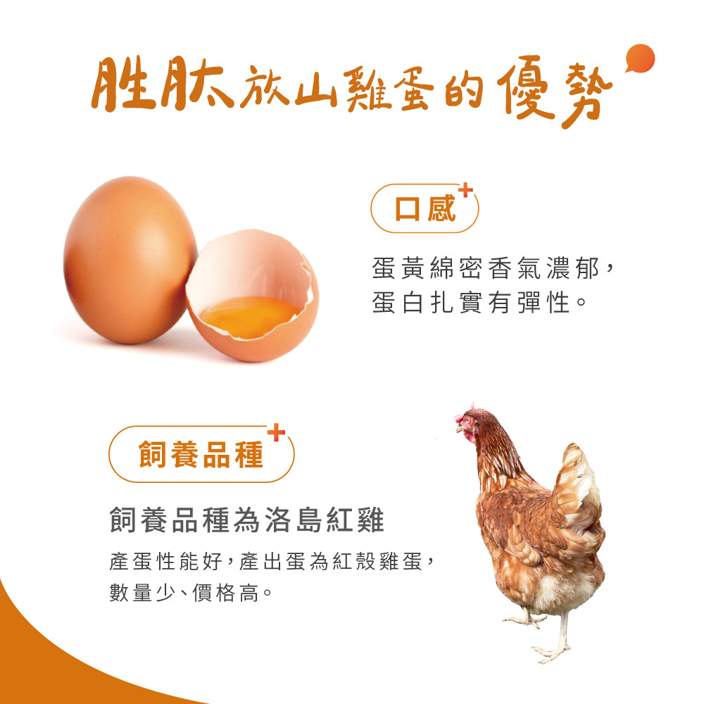 胜肽放山雞蛋是由洛島紅雞產出的紅殼雞蛋，吃起來的口感蛋黃綿密香氣濃郁，蛋白扎實有彈性。