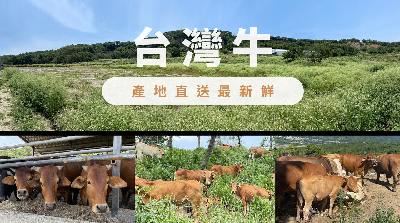 台灣牛產地直送最新鮮