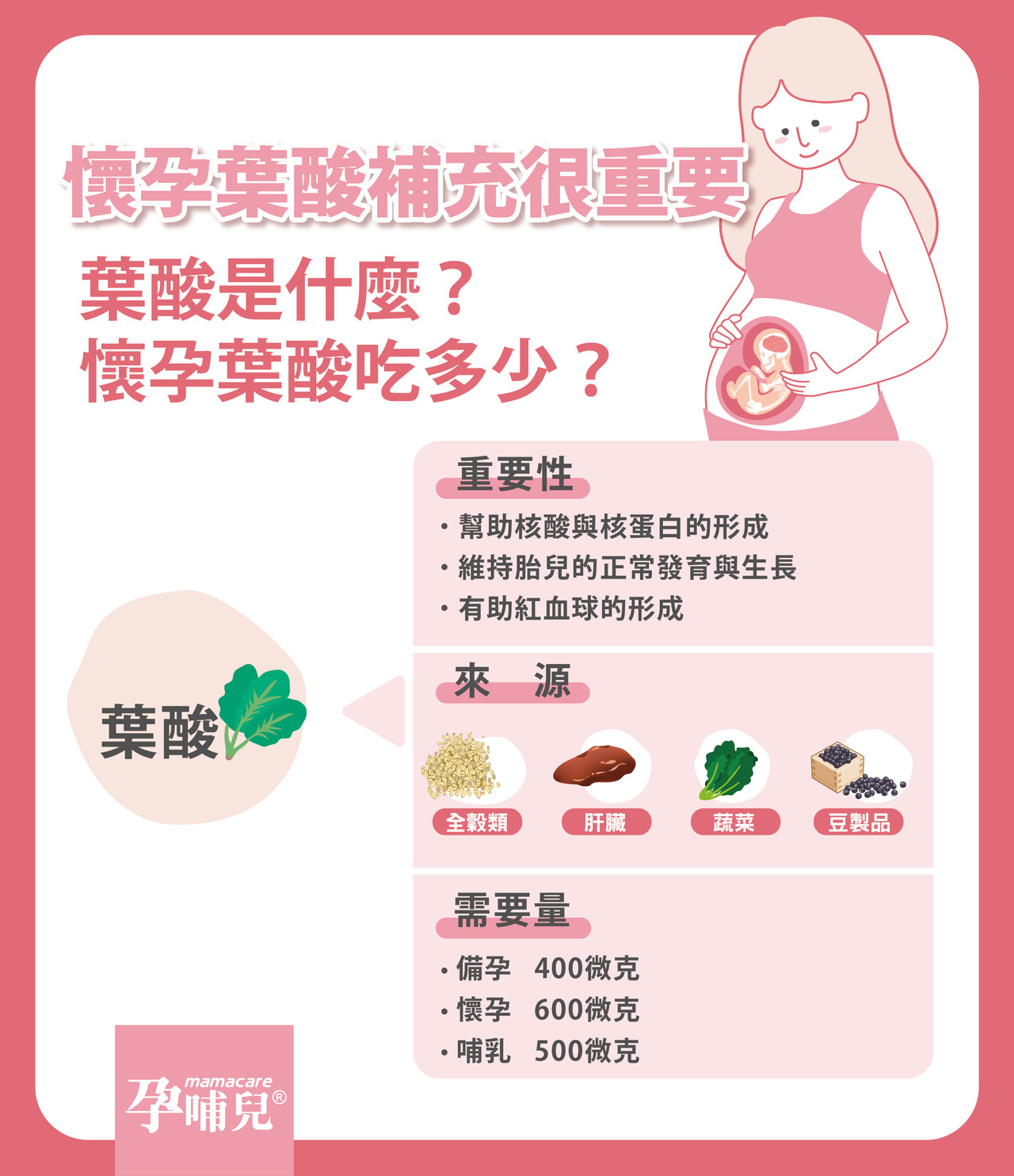 懷孕葉酸補充很重要   葉酸是什麼?懷孕葉酸吃多少?