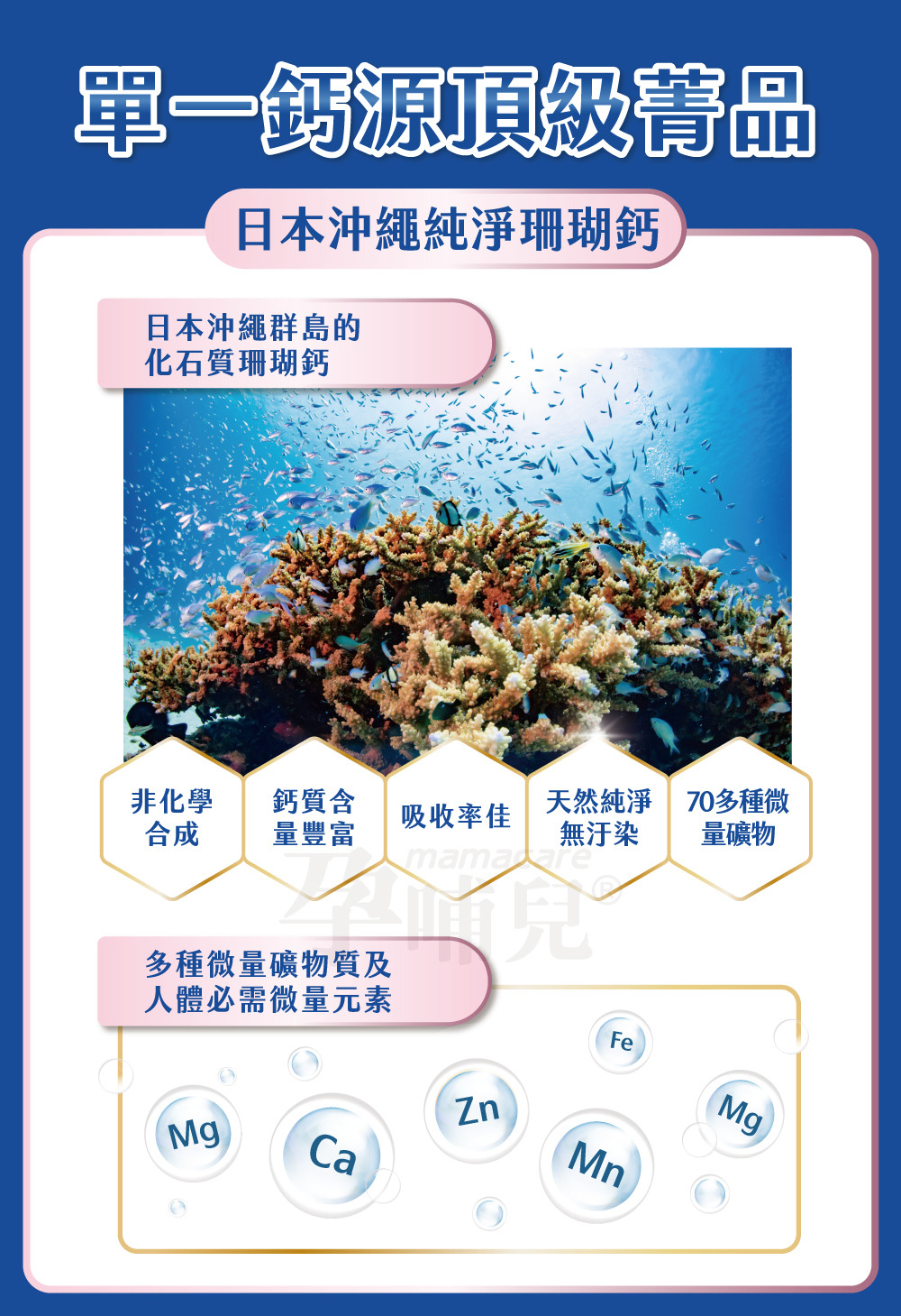 單一鈣源，日本沖繩純淨珊瑚鈣