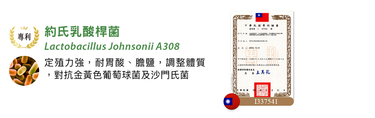 約氏乳酸桿菌(Lactobacillus johnsonii PM-308(A308))