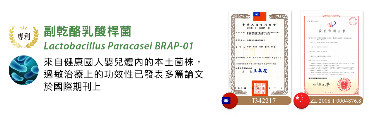 副乾酪乳酸桿菌(Lactobacillus paracasei BRAP-01)