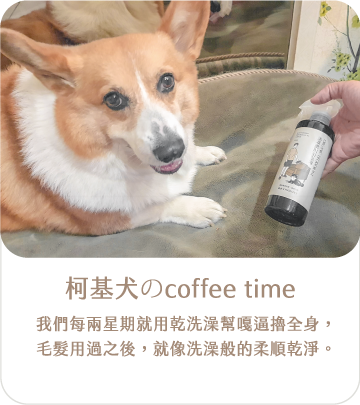 柯基犬 coffee time